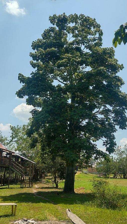 איקיטוס Casa Kukama Lodge מראה חיצוני תמונה